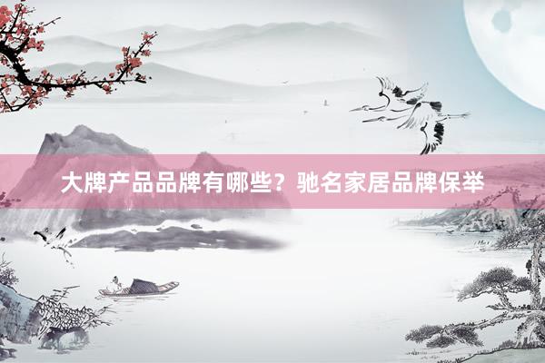 大牌产品品牌有哪些？驰名家居品牌保举